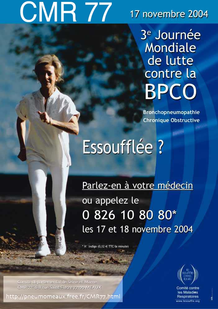 Journee BPCO 2004